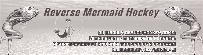 Reverse Mermaid Hockey banner